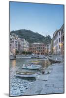 Italy, Cinque Terre, Vernazza-Rob Tilley-Mounted Photographic Print