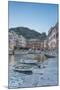 Italy, Cinque Terre, Vernazza-Rob Tilley-Mounted Premium Photographic Print