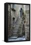 Italy, Civita de Bagnoregio Staircase-John Ford-Framed Stretched Canvas