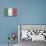 Italy Country Flag - Barnwood Painting-Lantern Press-Art Print displayed on a wall