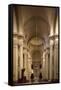 Italy, Emilia-Romagna, Bologna, Interior of San Salvatore Church-null-Framed Stretched Canvas