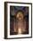 Italy, Emilia-Romagna, Bologna, Saint Dominic Basilica, Saint Dominic Chapel-null-Framed Giclee Print