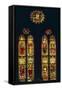 Italy, Emilia-Romagna, Bologna, Saint Petronius Basilica, Stained-Glass-null-Framed Stretched Canvas