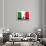 Italy Flag And Silhouettes-bioraven-Art Print displayed on a wall