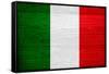 Italy Flag Design with Wood Patterning - Flags of the World Series-Philippe Hugonnard-Framed Stretched Canvas