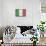 Italy Flag Distressed-null-Mounted Art Print displayed on a wall