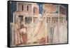 Italy, Florence, Basilica of Holy Cross, Peruzzi Chapel, Stories of John Evangelist: Kidnapping-Giotto di Bondone-Framed Stretched Canvas