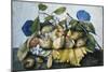 Italy, Florence, Dish of Plums with Jasmine and Walnuts-null-Mounted Giclee Print
