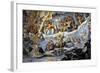 Italy. Florence. Dome of Brunelleschi. Last Judgement, by Giorgio Vasari and Zuccari-Giorgio Vasari-Framed Giclee Print