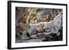 Italy. Florence. Dome of Brunelleschi. Last Judgement, by Giorgio Vasari and Zuccari-Giorgio Vasari-Framed Giclee Print