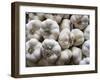 Italy, Florence. Garlic bulbs in the Central Market, Mercato Centrale in Florence.-Julie Eggers-Framed Photographic Print