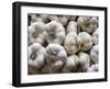 Italy, Florence. Garlic bulbs in the Central Market, Mercato Centrale in Florence.-Julie Eggers-Framed Photographic Print