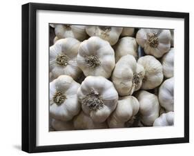 Italy, Florence. Garlic bulbs in the Central Market, Mercato Centrale in Florence.-Julie Eggers-Framed Photographic Print