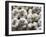 Italy, Florence. Garlic bulbs in the Central Market, Mercato Centrale in Florence.-Julie Eggers-Framed Photographic Print