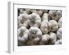 Italy, Florence. Garlic bulbs in the Central Market, Mercato Centrale in Florence.-Julie Eggers-Framed Photographic Print