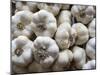 Italy, Florence. Garlic bulbs in the Central Market, Mercato Centrale in Florence.-Julie Eggers-Mounted Photographic Print