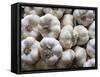 Italy, Florence. Garlic bulbs in the Central Market, Mercato Centrale in Florence.-Julie Eggers-Framed Stretched Canvas