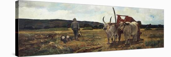 Italy, Florence, Maremma Toscana, Circa 1894-null-Stretched Canvas