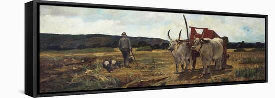 Italy, Florence, Maremma Toscana, Circa 1894-null-Framed Stretched Canvas