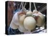 Italy, Florence. Mozzarella balls hanging in a shop in the Central Market, Mercato Centrale-Julie Eggers-Stretched Canvas