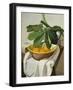 Italy, Florence, Still Life, 1925-null-Framed Giclee Print