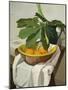 Italy, Florence, Still Life, 1925-null-Mounted Giclee Print