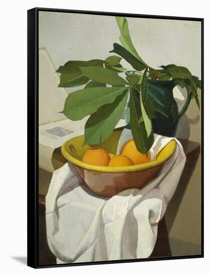 Italy, Florence, Still Life, 1925-null-Framed Stretched Canvas
