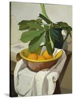 Italy, Florence, Still Life, 1925-null-Stretched Canvas