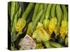 Italy, Florence. Zucchini with flowers for sale in the Central Market, Mercato Centrale in Florence-Julie Eggers-Stretched Canvas