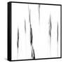 Italy, Friuli-Venezia Giulia, Abstract Image of Corn Field-Willy Di Giulian-Framed Stretched Canvas