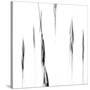 Italy, Friuli-Venezia Giulia, Abstract Image of Corn Field-Willy Di Giulian-Stretched Canvas