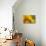 Italy, Friuli Venezia Giulia, Bee on a Sunflower-Daniele Pantanali-Stretched Canvas displayed on a wall