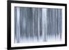 Italy, Friuli Venezia Giulia, Forest in the Snow-Luciano Gaudenzio-Framed Photographic Print