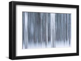 Italy, Friuli Venezia Giulia, Forest in the Snow-Luciano Gaudenzio-Framed Photographic Print