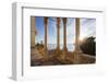 Italy, Friuli Venezia Giulia , Miramare Castle-Andrea Pavan-Framed Photographic Print