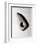 Italy, Friuli-Venezia Giulia Region, Stone Hammer-null-Framed Giclee Print