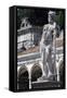 Italy, Friuli-Venezia Giulia, Udine, Statue of Hercules-null-Framed Stretched Canvas