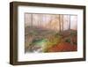 Italy, Friuli Venezia Giulia, Valley Arzino in Autumn-Anne Maenurm-Framed Photographic Print