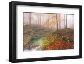 Italy, Friuli Venezia Giulia, Valley Arzino in Autumn-Anne Maenurm-Framed Photographic Print