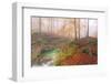 Italy, Friuli Venezia Giulia, Valley Arzino in Autumn-Anne Maenurm-Framed Photographic Print