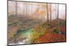 Italy, Friuli Venezia Giulia, Valley Arzino in Autumn-Anne Maenurm-Mounted Photographic Print