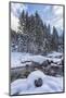 Italy, Friuli-Venezia Giulia, Winter River and Forest-Anne Maenurm-Mounted Photographic Print