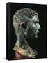 Italy, Friuli-Venezia Giulia, Zuglio, Male Head, Bronze-null-Framed Stretched Canvas