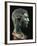 Italy, Friuli-Venezia Giulia, Zuglio, Male Head, Bronze-null-Framed Giclee Print