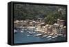 Italy, Genoa province, Portofino. Fishing village on the Ligurian Sea, overlooking harbor-Alan Klehr-Framed Stretched Canvas