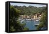 Italy, Genoa province, Portofino. Fishing village on the Ligurian Sea, overlooking harbor-Alan Klehr-Framed Stretched Canvas