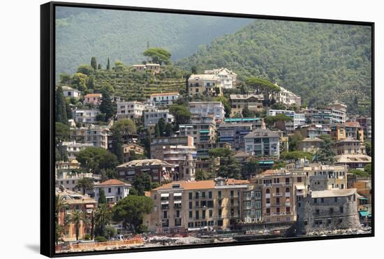 Italy, Genoa Province, Rapallo. Hillside with houses overlooking harbor-Alan Klehr-Framed Stretched Canvas