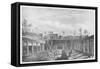 Italy, History of Archaeology, Excavations in the Peristyle of the House of Argus-null-Framed Stretched Canvas