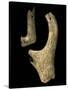 Italy, Iron Age, Fragments, Alphabet of Magre-null-Stretched Canvas