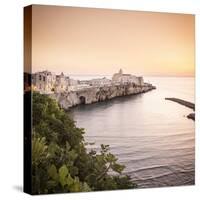 Italy, Italia. Apulia, Puglia, Foggia district. Gargano, Vieste. Old town and Punta di San Francesc-Francesco Iacobelli-Stretched Canvas